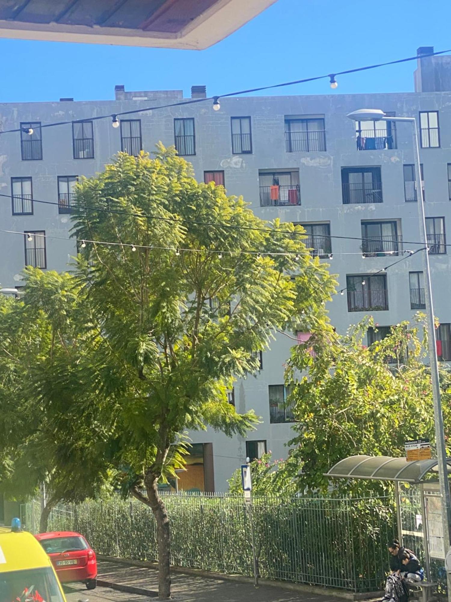 Funchal Varzea Park Διαμέρισμα Εξωτερικό φωτογραφία